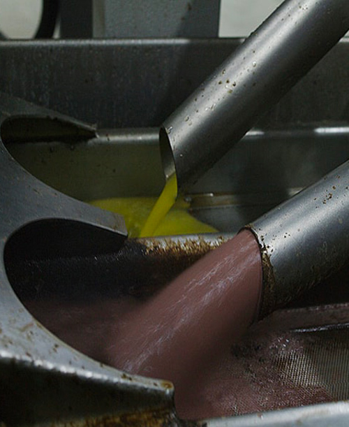 l'acqua di vegetazione delle olive