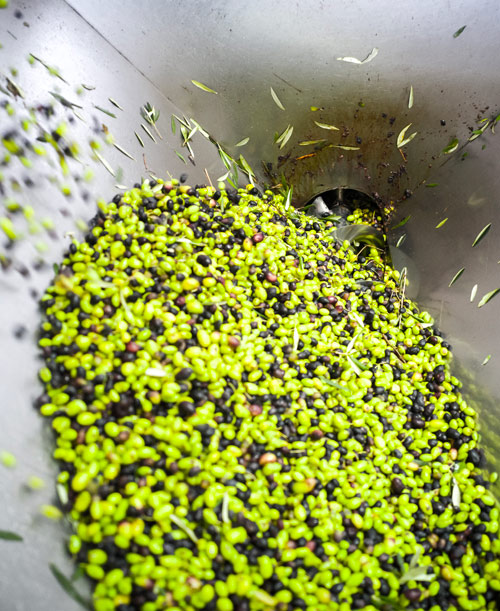 Estrazione a freddo Olio d'oliva