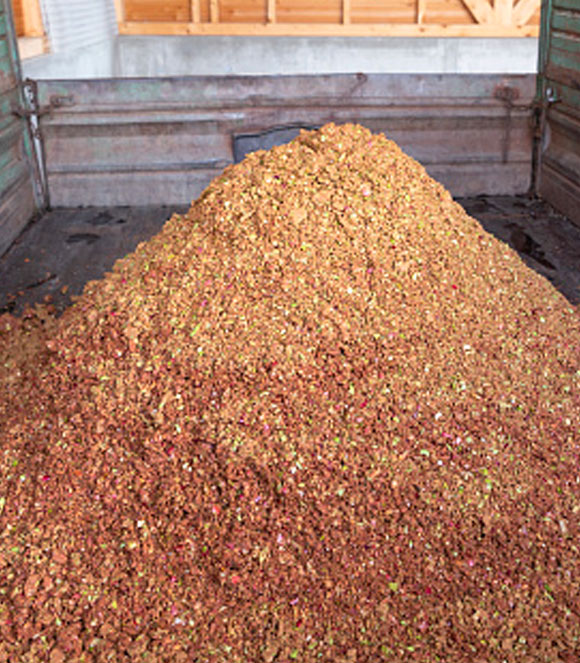 La sansa delle olive