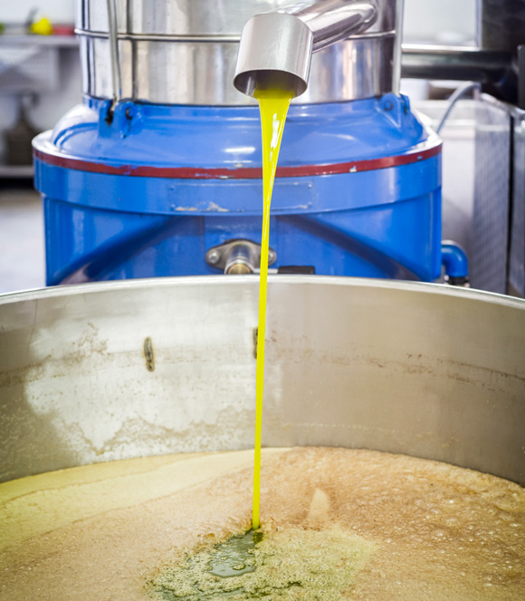 olio extravergine di oliva di prima spremitura a freddo